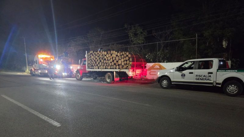 Aseguran vehículo y detienen a dos hombres por transporte ilegal de madera en Morelia, Michoacán